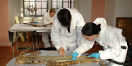 HAWK Hochschule, Fakult&auml;t Bauen und Erhalten