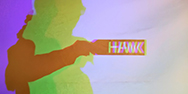 HAWK Lighting Design