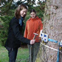 Sch&uuml;lerinnen erstellen Schalltomogramm am Baum