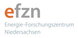 Logo des EFZN