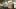 renderingCodes 1