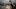 230628_HAWK_0341_lowres