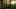 Bild Wald mit tief stehender Sonne