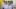 Leitungsteam BlueFlash Saison 2019