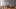 Presse_Trend21_Goettingen_Bild09