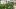Bild Beet mit Pflanzroboter