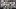 Bild Zoom-Screenshot