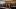 Bild FIS-Tag 2018