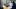 Studium 2020: digitaler & dezentraler