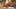 Julian_Steimer_Perspektive_Herbst