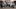 Bild Gruppe Aussteller