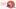 Plauderteller Thumbnail