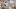 Motiv02_Brot_Couture