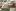 Noller_Chawan_online3 - Ch. N. (chawandesign)