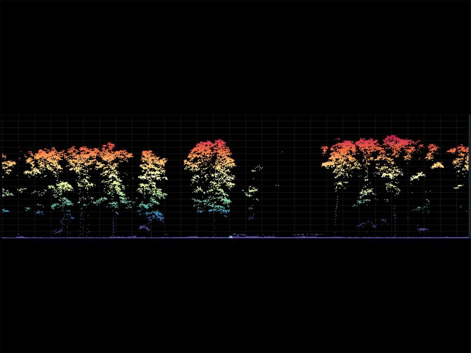 Transekt einer terrestrischen Laserscanning-Aufnahme